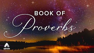 Bible Audio for Deep Rest Proverbs  Holy Bible Audio [upl. by Fleischer]