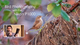 Nikon Coolpix P1000 for bird photography and birdwatching review [upl. by Nnaylrebmik]