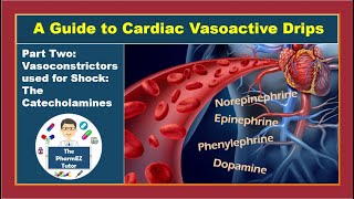 Guide to Cardiac Vasoactive Drips Part 2 Vasoconstrictors used for shock The Catecholamines [upl. by Allemahs632]