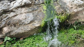 35 años después he tenido el privilegio de ver llegar el agua poco a poco por el cauce de un Río [upl. by Nickey587]