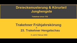 Trakehner Frühjahrskörung 2022  Dreiecksmusterung und Körurteil der Junghengste [upl. by Mariellen]