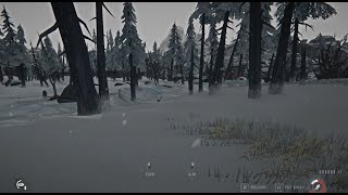 THE LONG DARK Can you hit the flying ptarmigan [upl. by Aivatnuhs]