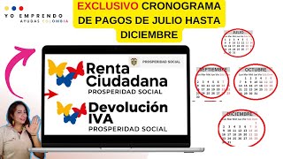 🟢Calendario de Pagos Julio a Diciembre Acumulados Devolución IVA y Renta Ciudadana VER Yo Emprendo [upl. by Elpmet]