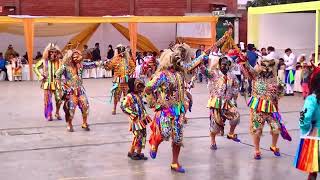 DANZA SAQRA Festividad en Homenaje a Mamacha Asunta de Colquepata Cusco Paucartambo [upl. by Selassie941]