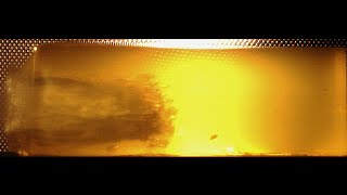 12 Gauge Winchester Rooster XR vs Ballistic Gelatin [upl. by Papst432]