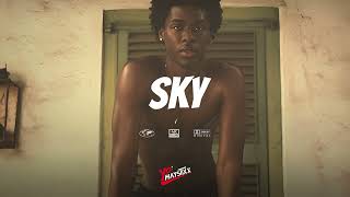 FREE Sad Emotional Afro Type Beat 2024  Afro soul x Omah Lay Typebeat  SKY [upl. by Alesi]