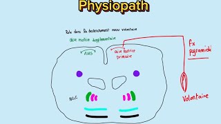 🧠Syndrome extra pyramidal Parkinson [upl. by Enoed]