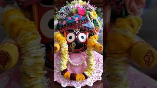 Panjuri bhitare sari🦜Monalisamanas todayaratioflordjagannath jayjagannath reels ❤ [upl. by Ardnossac]