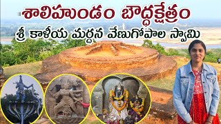 Salihundam Srikakulam Vlog  Venugopala Swamy Temple  Salihundam Buddist Stupa  Salihundam History [upl. by Chatwin]