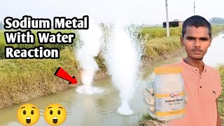 Sodium Metal With Water Reaction  सोडियम मेटल [upl. by Dyun]