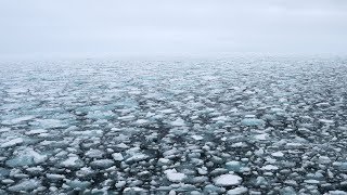 Its Arctic Sea Ice Day [upl. by Verine]