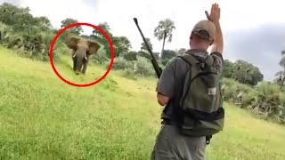 6 Elephant Encounters That Will Give You Anxiety [upl. by Aifos314]