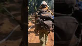 Wildland firefighting in Oregon firefighter wildlandfire fd fire hydration fireman [upl. by Nwadrebma]