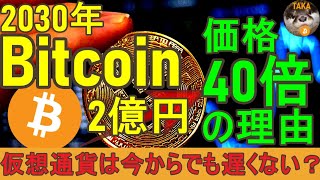 【ビットコイン価格40倍】2030年1BTC2億円の理由。仮想通貨は今からでも遅くない？ [upl. by Lauder]