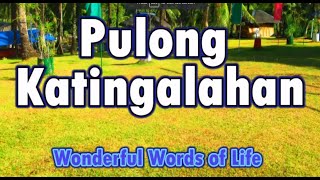 Pulong Katingalahan hymns praiseworship songofpraise bisayahymns cebuanosongs [upl. by Snilloc]