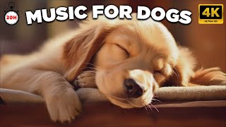 20 HOURS of Dog Sleep Music For Dogs💖🐶Dog Separation Anxiety Relief🐶💖pet music🎵 [upl. by Moria]