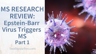 Study Suggests EpsteinBarr Virus Triggers the Onset of Multiple Sclerosis  Part 1  Pam Bartha [upl. by Adnerb]