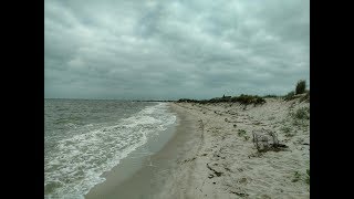 Morning on Tangier Island 360 Video [upl. by Ateekal]