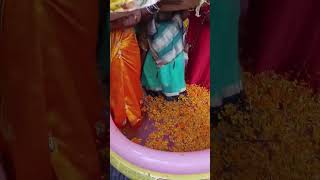 Chhath Puja Subah ka argh🙏youtubeshorts  bhaktitrending [upl. by Artcele]