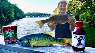 Bass and Bluegill Catch And Cook Jace catches his personal best bass [upl. by Alyakem]