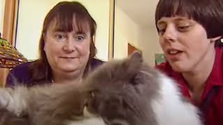 How to Tame Your Pet  Barking Mad  BBC Studios [upl. by Dib]