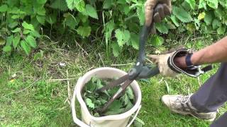 How to make Liquid Nettle Plant Food [upl. by Amin751]