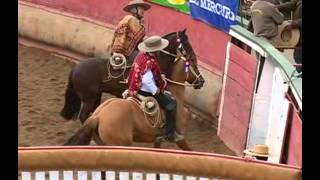 Rodeo Campeones de Chile [upl. by Tirrell972]