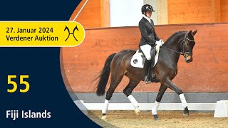 Verden Auction Online  Sporthorses  Jan 27  No 55 Fiji Islands by Fidertanz  Belissimo M [upl. by Franek]