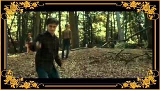 Harry Potter  Magic Spells HD [upl. by Sarazen474]