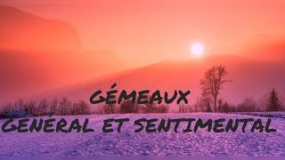 GÉMEAUX janvier 2020 GÉNÉRAL ET SENTIMENTAL [upl. by Melc]