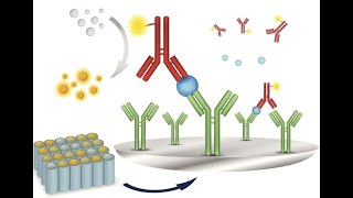 Understanding Immunoassay Analyses  Principles and Applications 4 Minutes Microlearning [upl. by Notecnirp630]