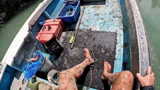 Catching huge mudcrabs crabbing tips Queensland Australia [upl. by Inneg]