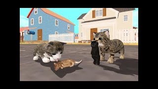 Cat Sim Online Play with Cats Android Gameplay Ep 10 [upl. by Artemas650]