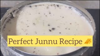 జున్ను తయారీ విధానంJunnu recipe making of colostrum milk puddingStoriesCaptured [upl. by Snowman]