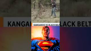 Man saves his dog from jacked Kangaroo starman superman shorts [upl. by Ahswat39]