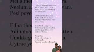 Vilagadha song lyrics lover love vilagathey [upl. by Cordula]