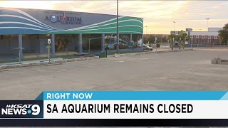 San Antonio Aquarium management hope to reopen by Wednesday after fixing multiple violations [upl. by Hertha]