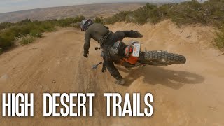 High Desert Trails Adventure Biking  Holcomb Valley and Cleghorn Ridge [upl. by Suertemed]