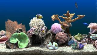 Marine Aquarium Virtual Fishtank [upl. by Aivek903]