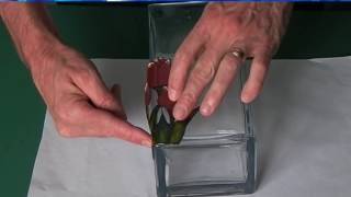 Introduction to Glass Painting Film [upl. by Salita]