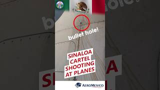 Sinaloa cartel shoots at Aeromexico passenger plane 🇲🇽 [upl. by Caressa]