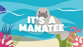 the manatee song lyrics stereo [upl. by Goober]