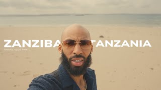 DWHOS Africa Travel Vlog To Zanzibar African Safari and more [upl. by Acnaib]