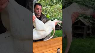 food ostrich cooking ostrichegg outdoorcooking foodie nature village asmr [upl. by Annayar]