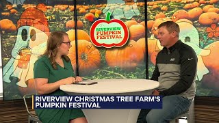 Riverview Christmas Tree Farm hosting Pumpkin Festival [upl. by Naes631]