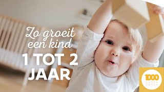 Dit moet je weten over je kind tussen 1 en 2 jaar [upl. by Donelson772]