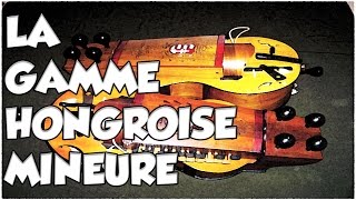 LA GAMME HONGROISE MINEURE  LE GUITAR VLOG 167 [upl. by Hsirehc]