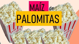 MAÍZ DE PALOMITAS [upl. by Estas]