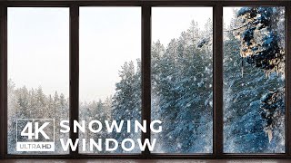 4K Snowing Winter Forest window View  Relaxing Calming Ambience [upl. by Ursola625]