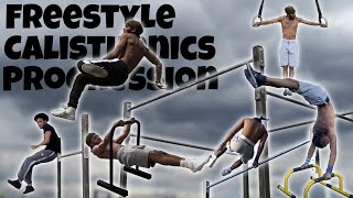 Calisthenics Freestyle Compilation  Frontflip regrab Muscle 540 Shrimp 360 [upl. by Lissner736]